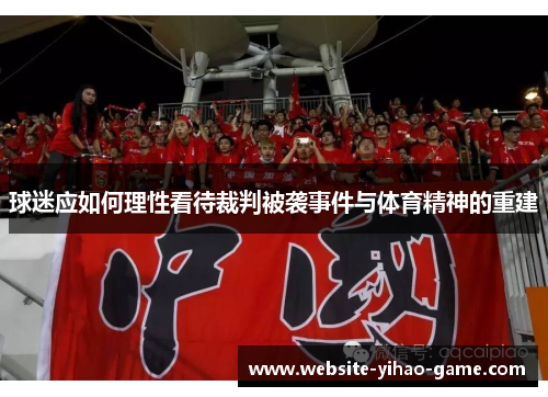 球迷应如何理性看待裁判被袭事件与体育精神的重建