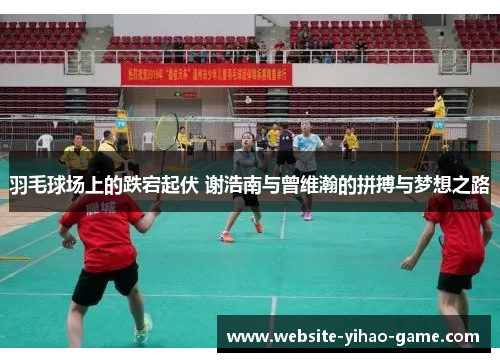 羽毛球场上的跌宕起伏 谢浩南与曾维瀚的拼搏与梦想之路