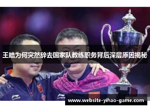王皓为何突然辞去国家队教练职务背后深层原因揭秘