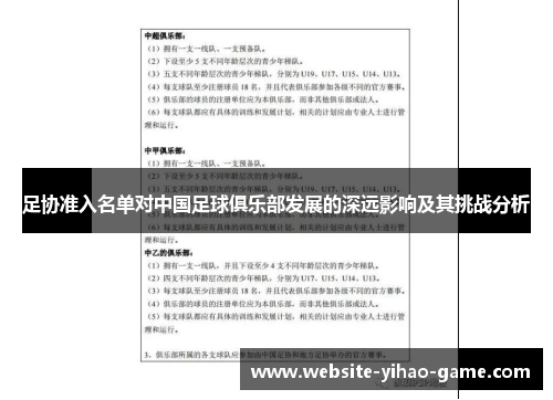 足协准入名单对中国足球俱乐部发展的深远影响及其挑战分析