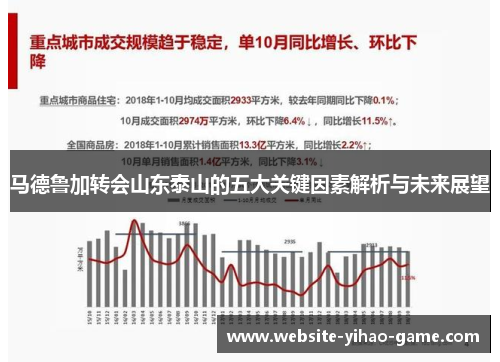 马德鲁加转会山东泰山的五大关键因素解析与未来展望